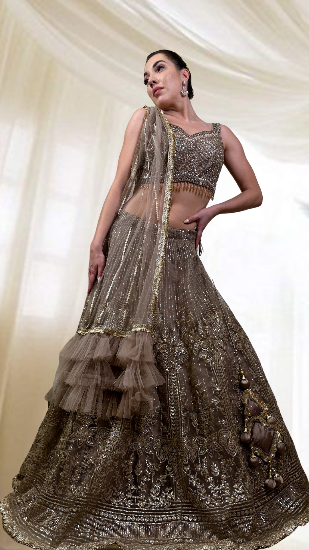 Light Brown Embroidered Lehenga Set