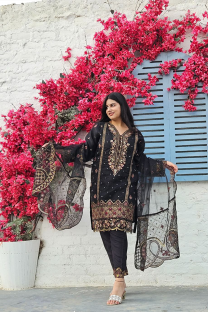 Sheen Sitara Kurta Set